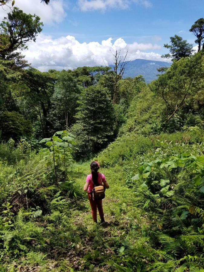 San Isidro  Escapadita Al Bosque מראה חיצוני תמונה