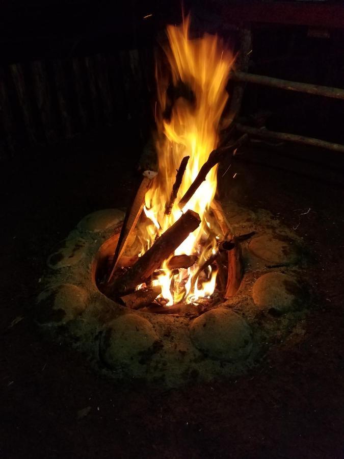 San Isidro  Escapadita Al Bosque מראה חיצוני תמונה